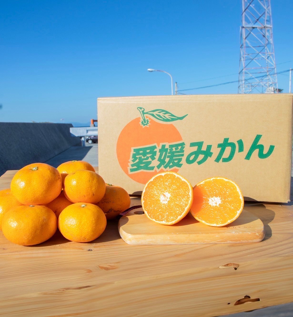 愛媛みかんと化粧箱