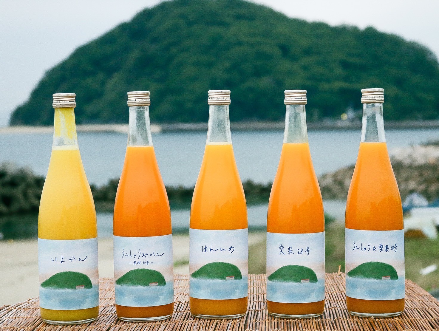 海を背景に並ぶ複数種類の柑橘ジュース
