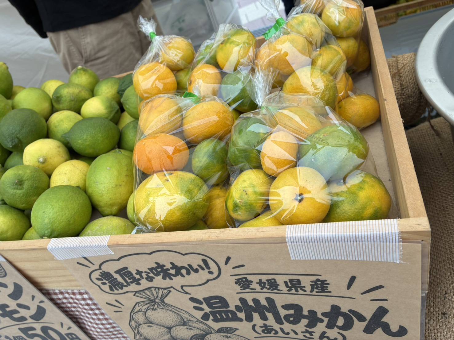 袋詰めの愛媛県産温州みかん